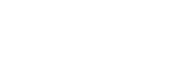 Homie NYC
